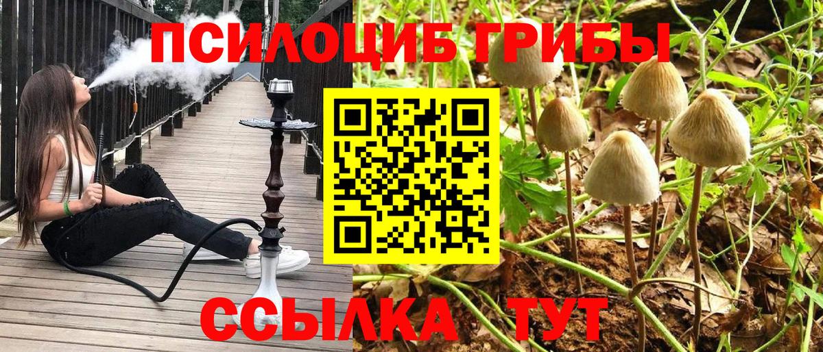Галлюциногенные грибы Psilocybine cubensis  Вход с VPN  Иваново 